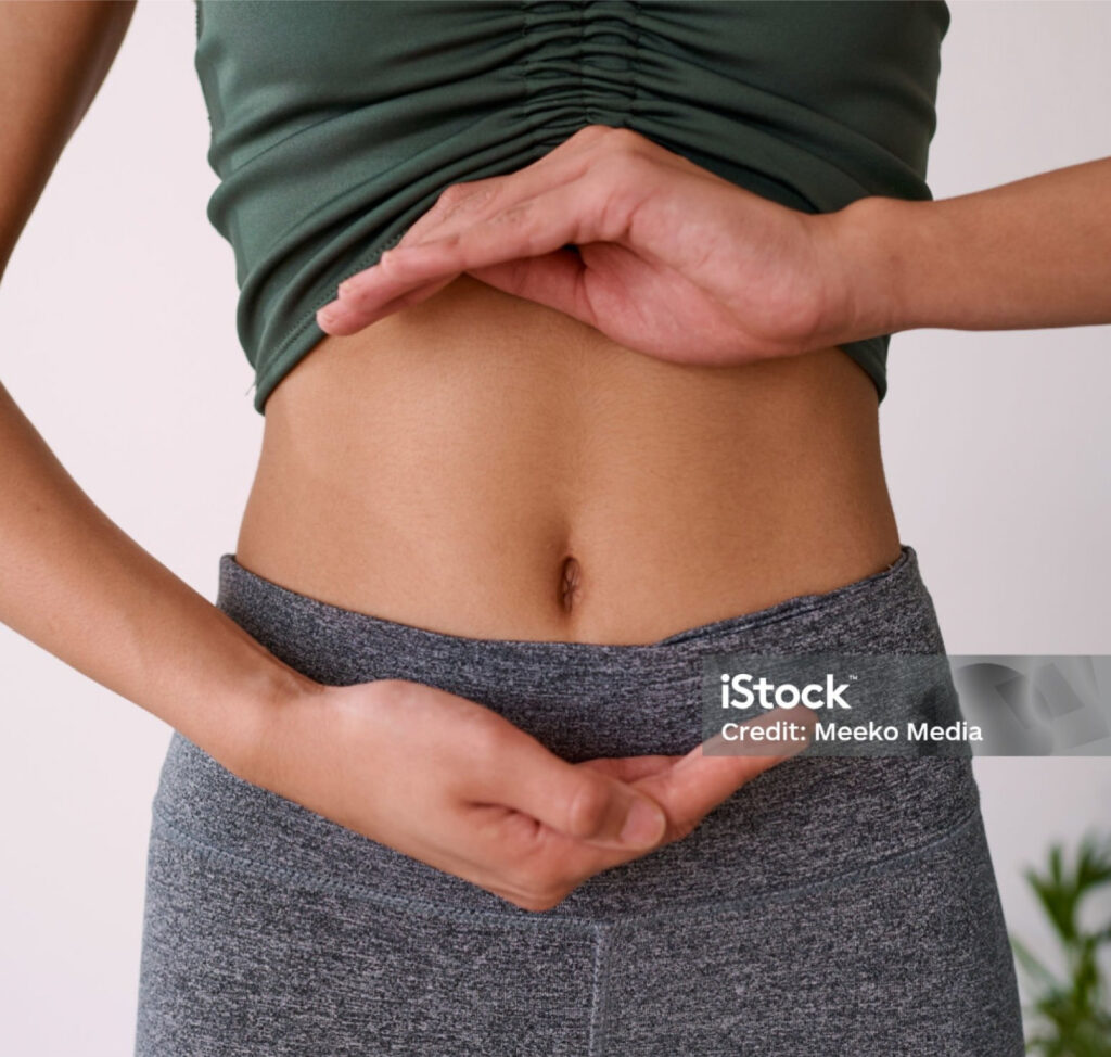 Intestino, microbiota, fegato- l'origine della salute metabolica